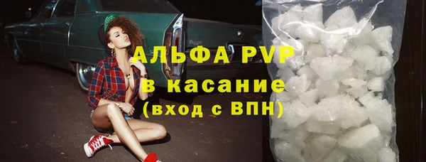 молекула духа Арсеньев